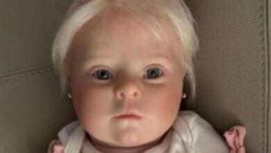 Congresso propõe multa de R$ 30 mil para fila com bebê reborn