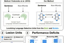 Modelos de AI espelham sistema de linguagem do cérebro