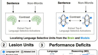 Modelos de AI espelham sistema de linguagem do cérebro