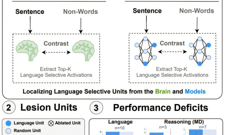 Modelos de AI espelham sistema de linguagem do cérebro