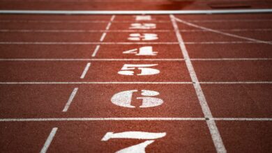Como construir benchmarks para modelos de machine learning