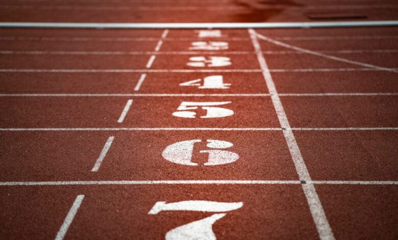 Como construir benchmarks para modelos de machine learning
