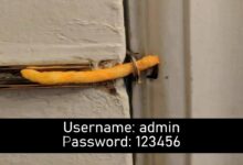 Ataque FTP revela que 'Admin' e '123456' são comuns