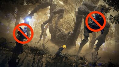 Elden Ring recebe modo solo; gamer explora novos desafios