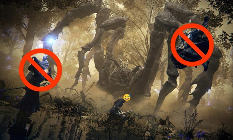Elden Ring recebe modo solo; gamer explora novos desafios