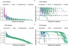 AI-powered ulrb revela microrganismos ocultos da Terra