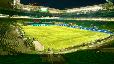 Santos confirma partida contra Ceará com vitória em jogo no Allianz Parque