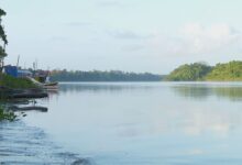 Ibama aprova avanço da Margem Equatorial para investimentos