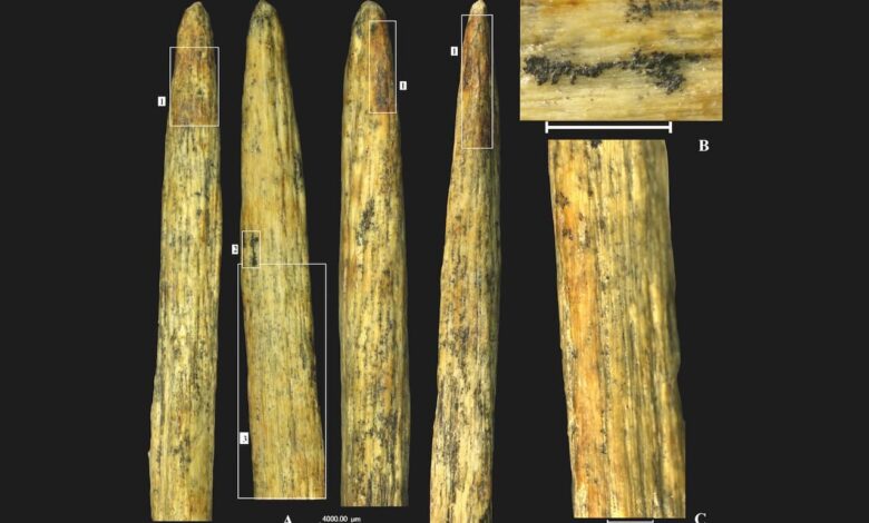 Descoberta de ponta de lança de osso neandertal na Rússia é a mais antiga da Europa