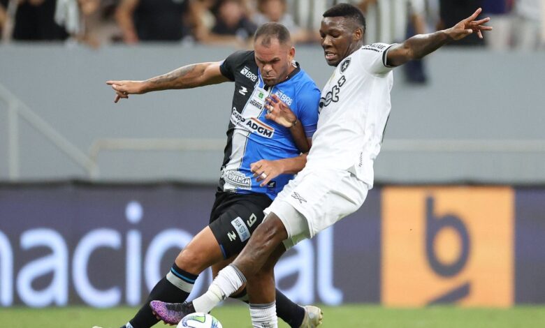 Botafogo perde para time da Série D, mas avança na Copa do Brasil