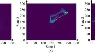 Modelos causais melhoram generalização em offline reinforcement learning
