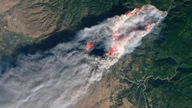 Google lança satélite para combater incêndios florestais