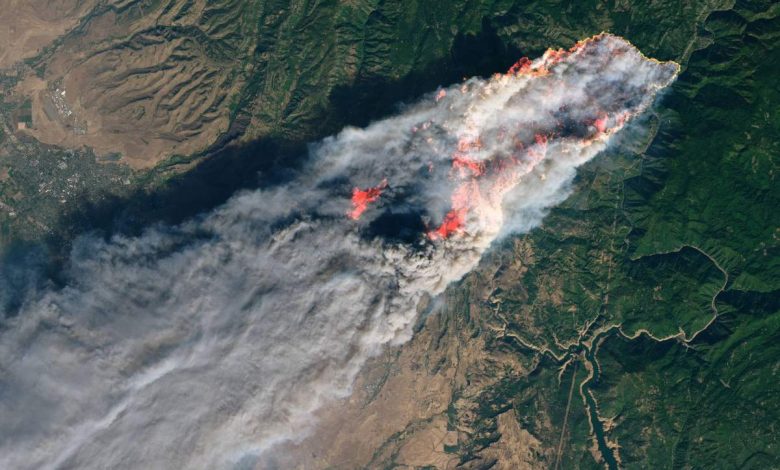 Google lança satélite para combater incêndios florestais