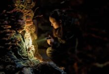 The Last Of Us 2: resumo do episódio 5 e seu impacto no streaming