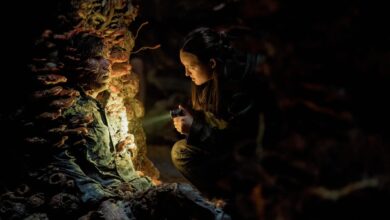 The Last Of Us 2: resumo do episódio 5 e seu impacto no streaming