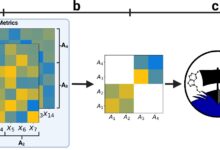 Machine learning separa dados para melhorar avaliação AI