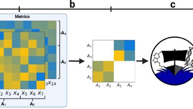 Machine learning separa dados para melhorar avaliação AI