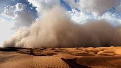 Lemon Sandstorm expõe risco de ataque em infraestrutura no Oriente Médio