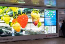 Samsung alerta para ataque a falha do servidor MagicINFO
