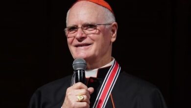 Cardeais brasileiros revelam time para vitória no conclave