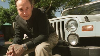 Grok AI revela tweets sobre genocídio branco na África do Sul