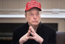 Elon usa Grok AI com dados do governo para DOGE