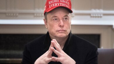 Elon usa Grok AI com dados do governo para DOGE