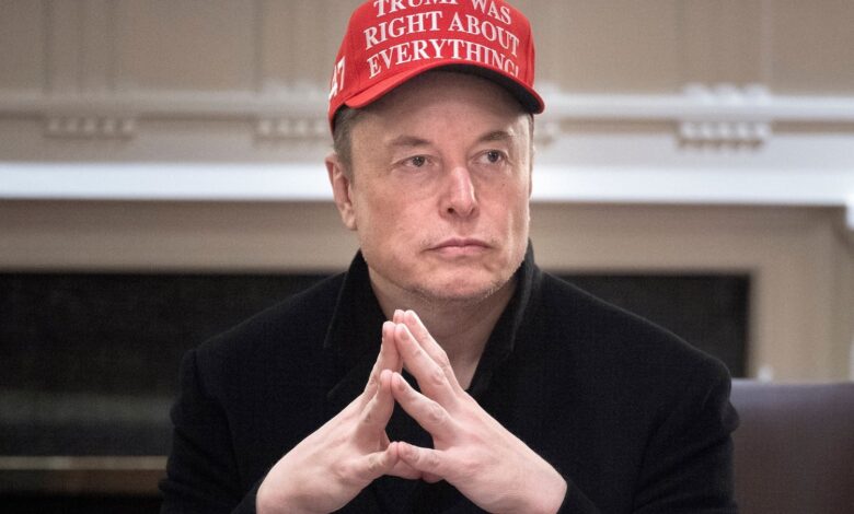 Elon usa Grok AI com dados do governo para DOGE