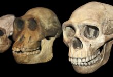 Evolução de 20 anos em cibersegurança e vazamento de dados