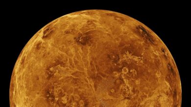 NASA estuda crusta fina de Vênus e sua atividade geológica