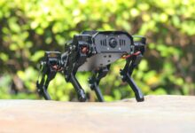Tiny robot dog com visão AI revoluciona design de produto