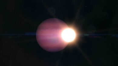James Webb identifica exoplaneta mais frio em órbita de estrela morta