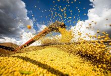 IBGE projeta mercado agrícola com safra de 328,4 mi de toneladas
