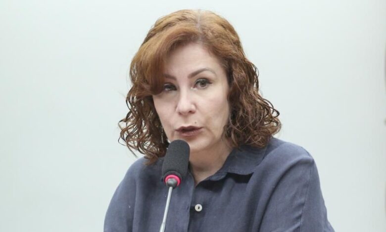 Zambelli pede suspensão de condenação ao STF no governo