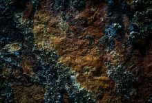 Rust conquista espaço entre desenvolvedores Python em modelagem AI