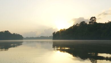Ineep defende exploração da Margem Equatorial sob partilha para investimento