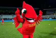 Ano do pássaro: coincidências marcam títulos do futebol inglês