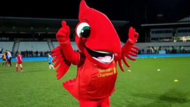 Ano do pássaro: coincidências marcam títulos do futebol inglês