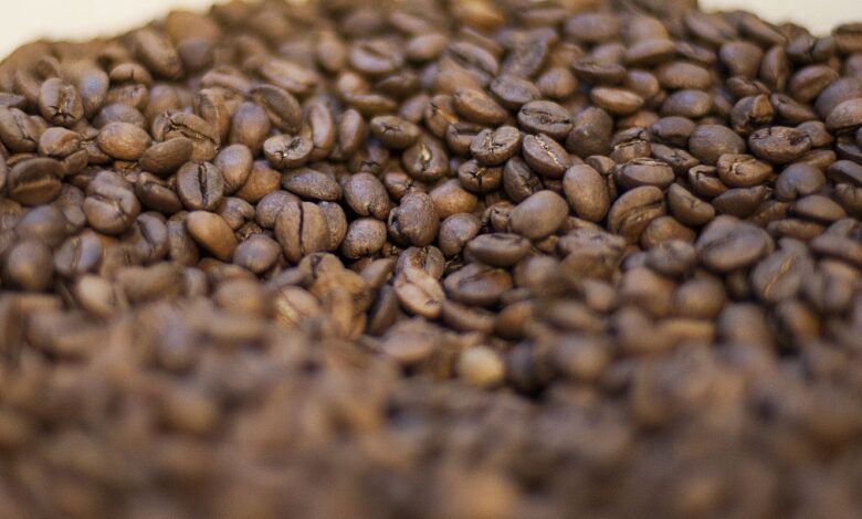 ANVISA reprova marcas de café impróprias para consumo