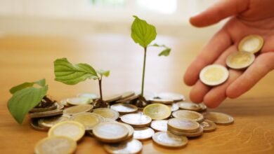 Diretor da Vale propõe investimento na economia circular