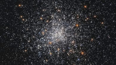 DeepType aprimora clusters com deep learning eficiente