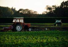 Agroconsult aponta guerra comercial e impacto no investimento mercado