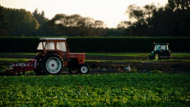 Agroconsult aponta guerra comercial e impacto no investimento mercado