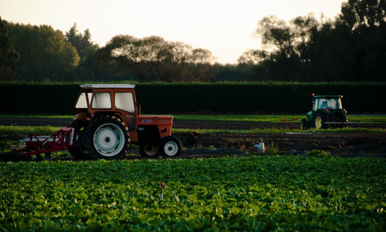 Agroconsult aponta guerra comercial e impacto no investimento mercado