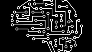 Novo modelo matemático aprimora transfer learning em redes neurais