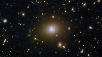 NASA observa galáxias em toda a vastidão do espaço