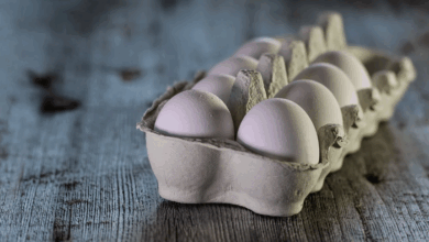Global Eggs compra granja Legaria e mira investimento na Europa