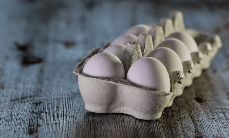 Global Eggs compra granja Legaria e mira investimento na Europa