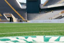 Palmeiras busca vitória em clássico contra São Paulo no Brasileirão