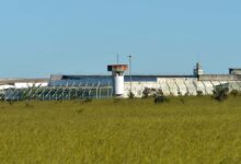 STF determina transferência de réu após risco de fuga